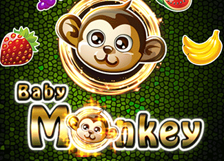 Baby Monkey