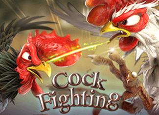 Cock Fighting