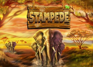 Stampede