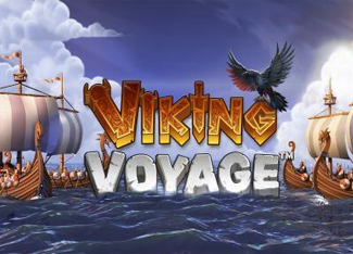 Viking Voyage