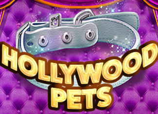 Hollywood Pets