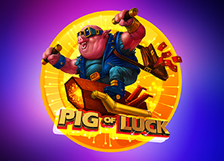 Pig Of Luck