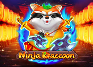 Ninja Raccoon