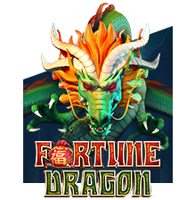 Fortune Dragon