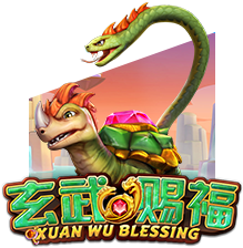 Xuan Wu Blessing