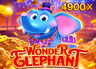 Wonder Elephant