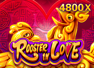 Rooster In Love