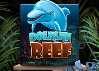 Dolphin Reef