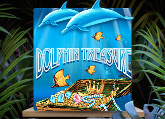 Dolphin Treasure