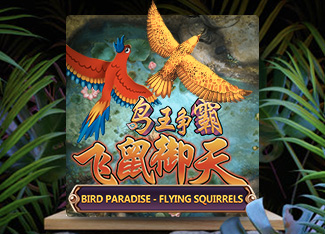 Bird Paradise