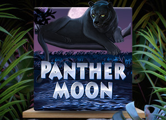 Panther Moon