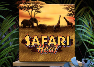 Safari Heat