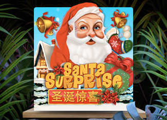 Santa Surprise