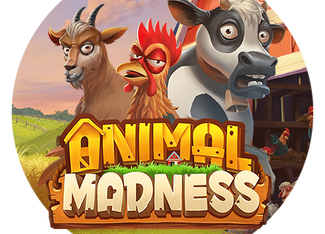 Animal Madness