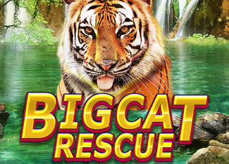 Big Cat Rescue Megaways