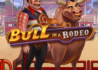 Bull in a Rodeo