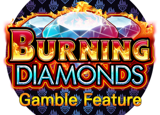 Burning Diamonds Gamble Feature