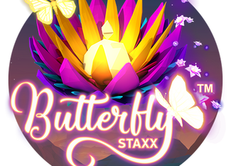 Butterfly Staxx