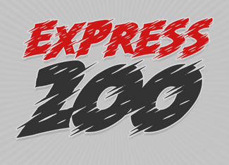 Express 200 Scratch