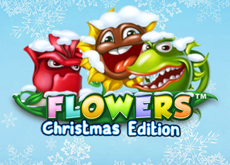 Flowers Christmas Edition