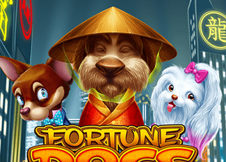 Fortune Dogs