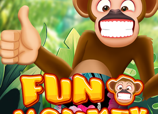 Fun Monkey