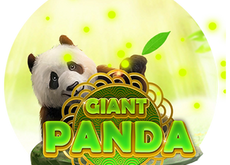 Giant Panda