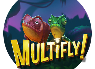 Multifly