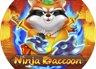 Ninja Raccoon