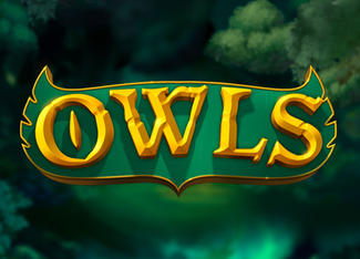 Owls