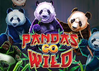 Panda's Go Wild