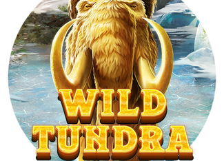 Wild Tundra